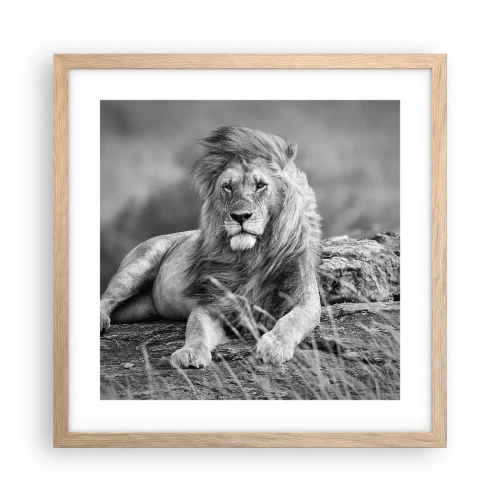 Plakat i ramme af lyst egetræ - Kongelig siesta - 40x40 cm