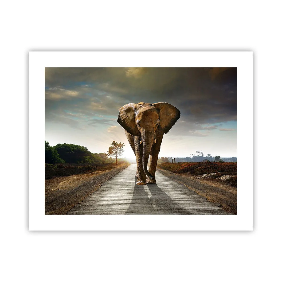 Plakat - Og slet ikke i en porcelænsbutik - 50x40 cm