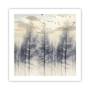 Plakat - Skovånder - 50x50 cm