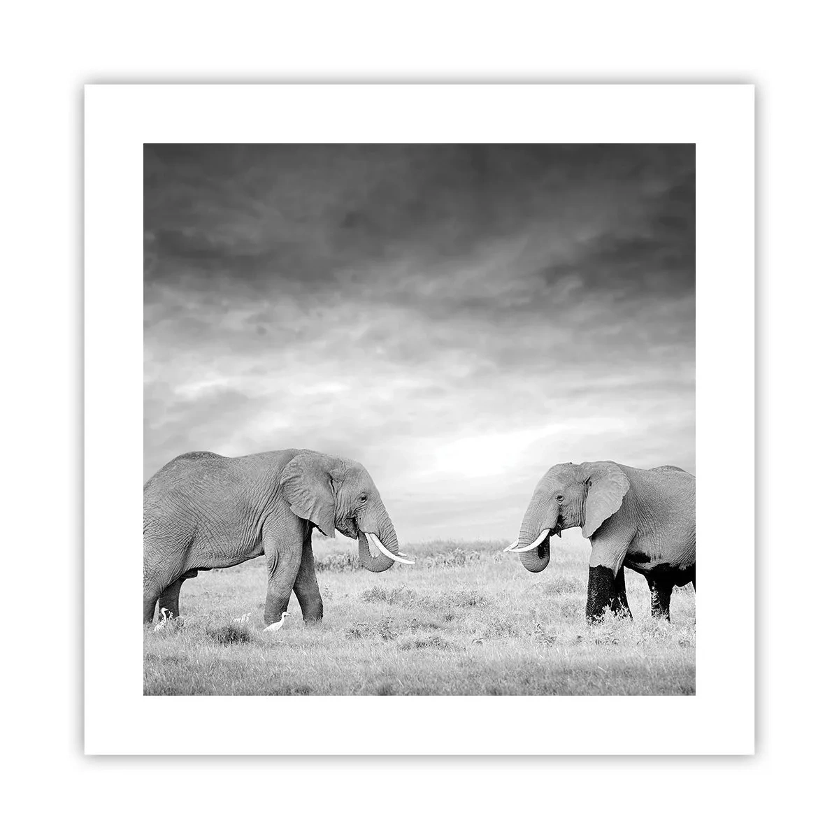 Plakat - Gråt er smukt - 40x40 cm