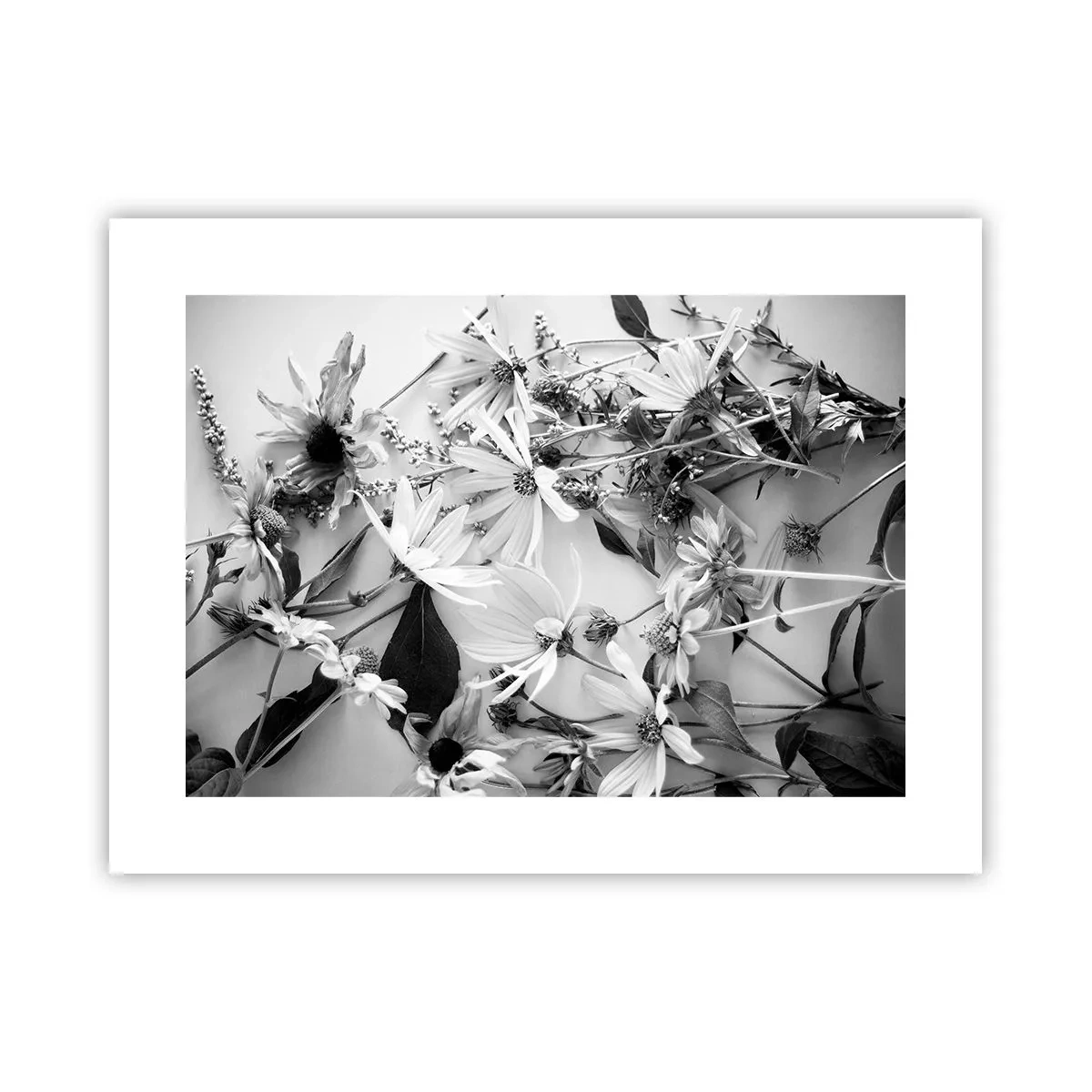 Plakat - Blomster uden buket - 40x30 cm