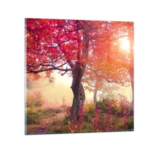 Billede på glas - Et væld af blomstring - 50x50 cm