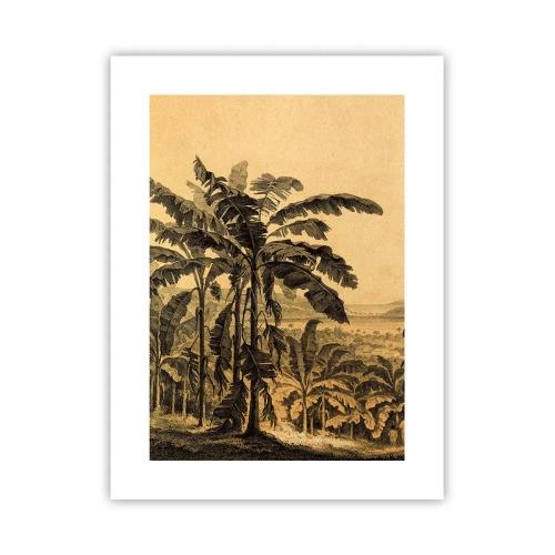 Plakat - I en kolonial atmosfære - 30x40 cm