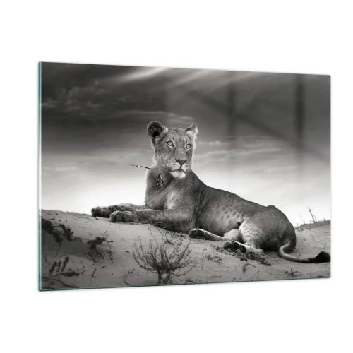 Billede på glas - Resten af ørkendronningen - 120x80 cm
