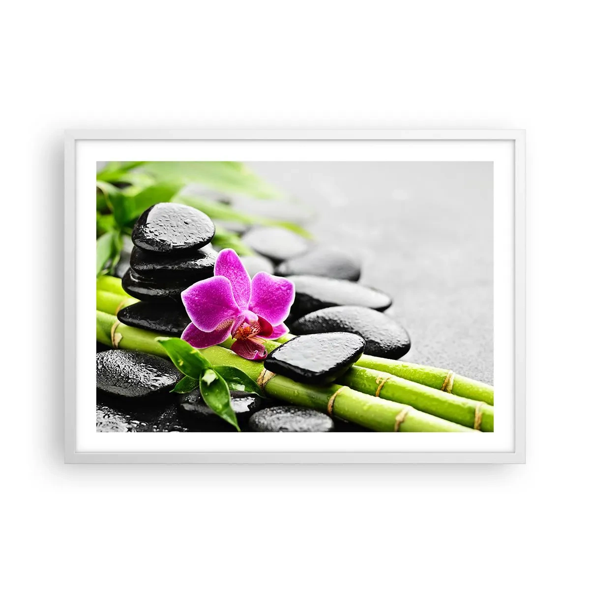 Plakat i hvid ramme - I en fredelig balance - 70x50 cm