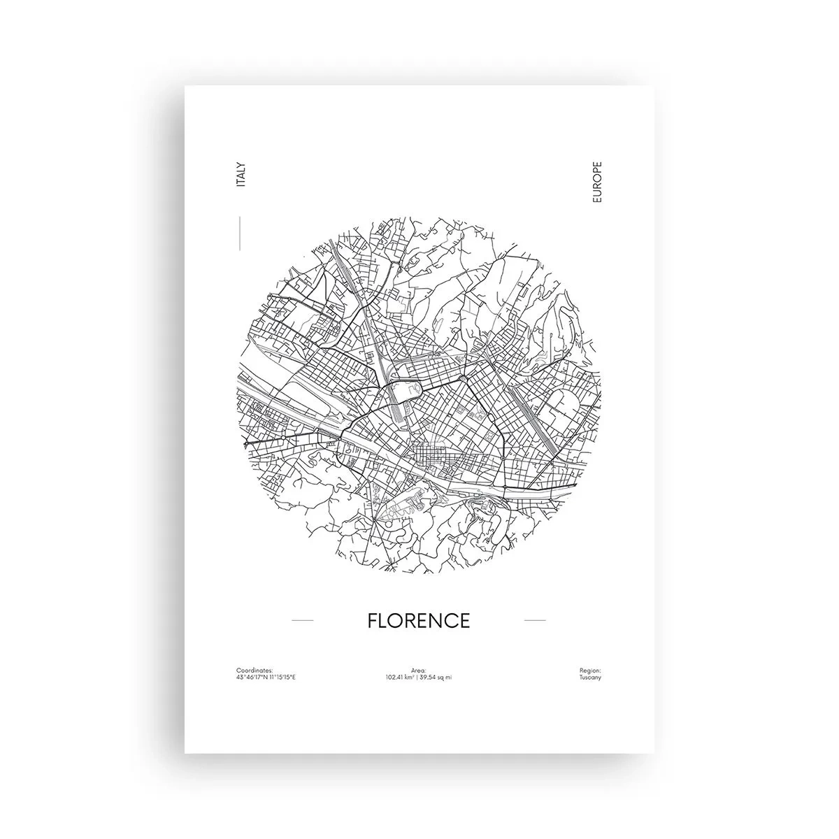 Plakat - Anatomi af Firenze - 70x100 cm