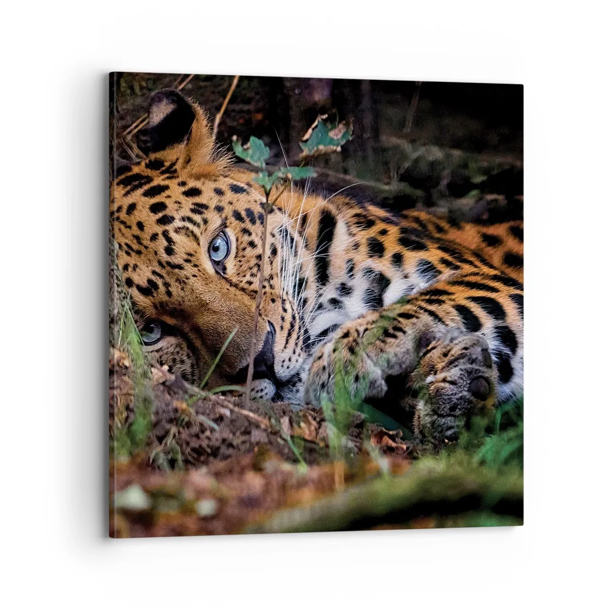 Lærredstryk - Billede på lærred - Stol på mig - 70x70 cm