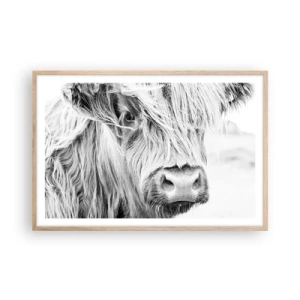 Plakat i ramme af lyst egetræ - Skotsk vildmark - 91x61 cm