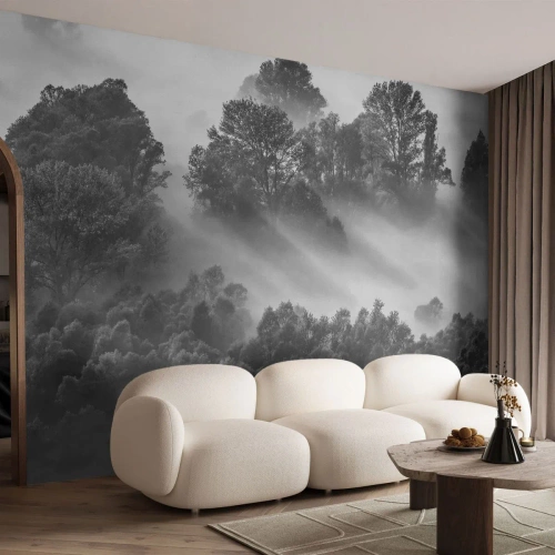 Fototapet Selvklæbende Deluxe Sticker - At vågne fra søvnen - Landskab, Skov, Tåge - 250x175 cm