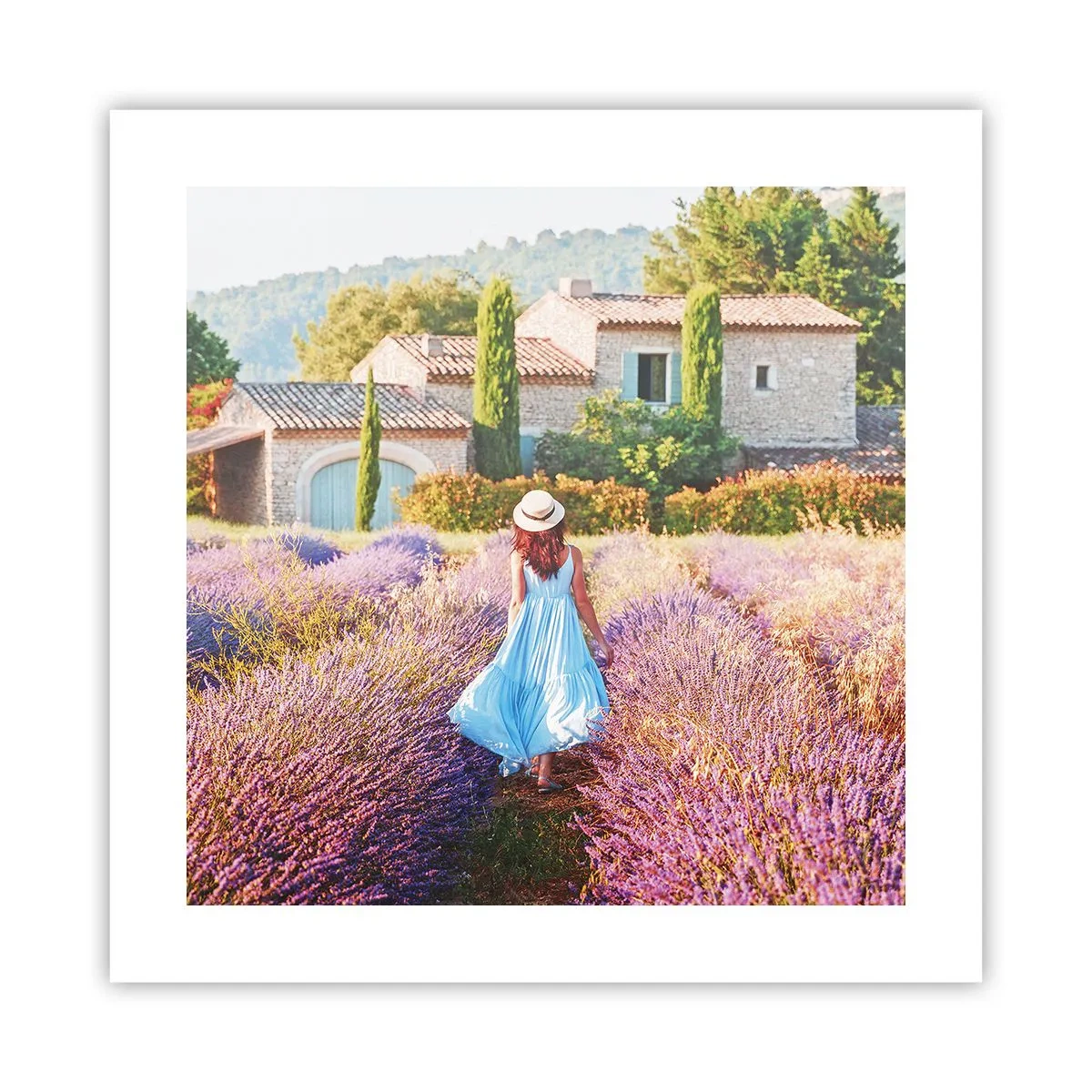 Plakat - Lavendel pige - 40x40 cm