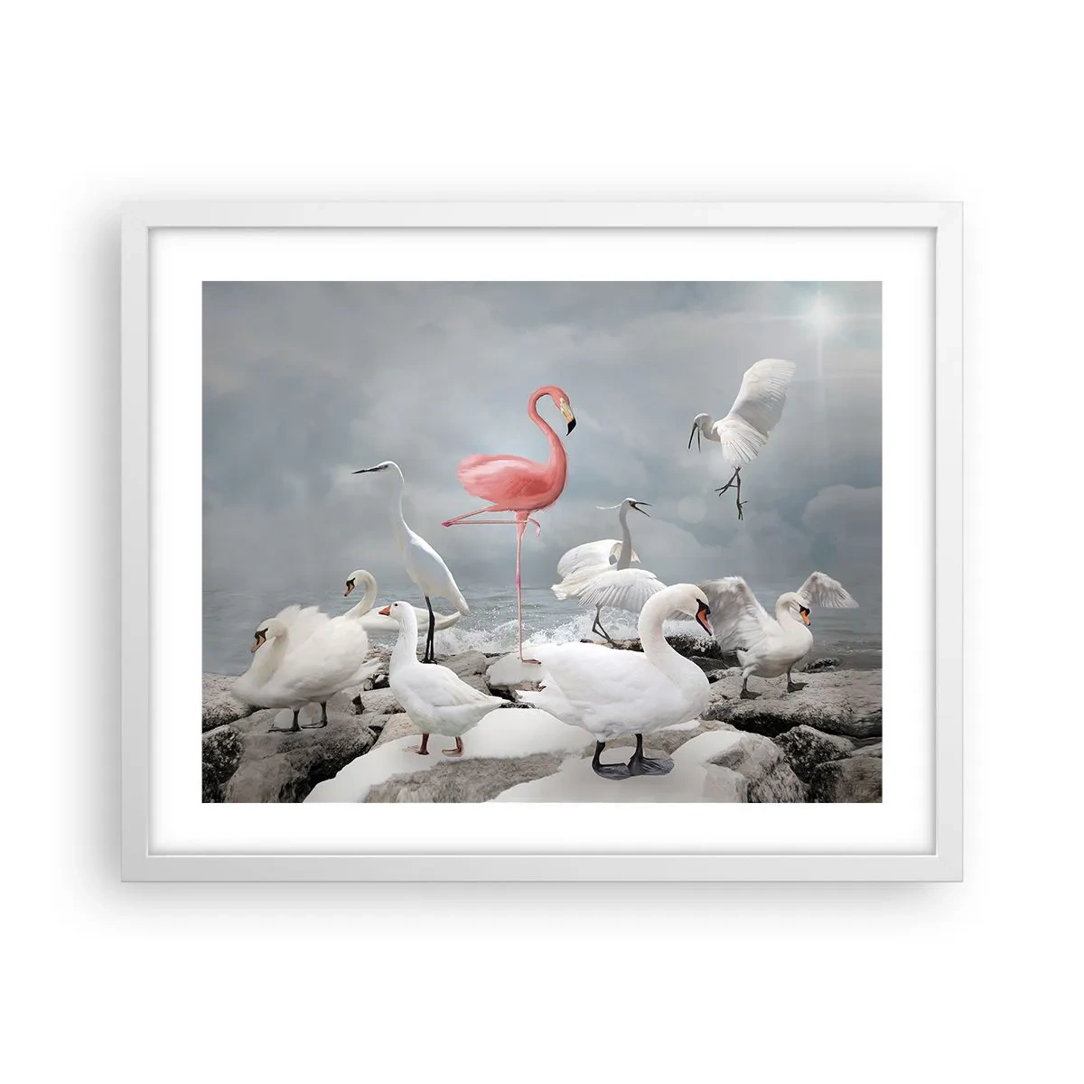 Plakat i hvid ramme - Hvor kommer jeg fra? - 50x40 cm