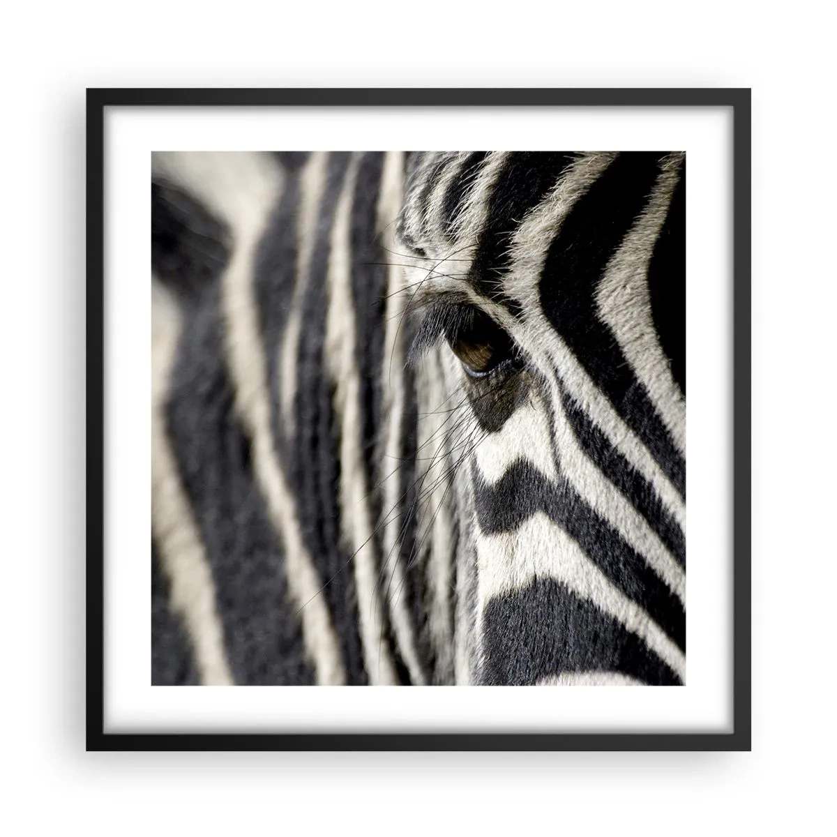 Plakat i sort ramme - Stribet portræt - 50x50 cm