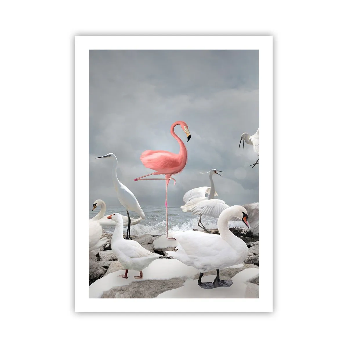 Plakat - Hvor kommer jeg fra? - 50x70 cm