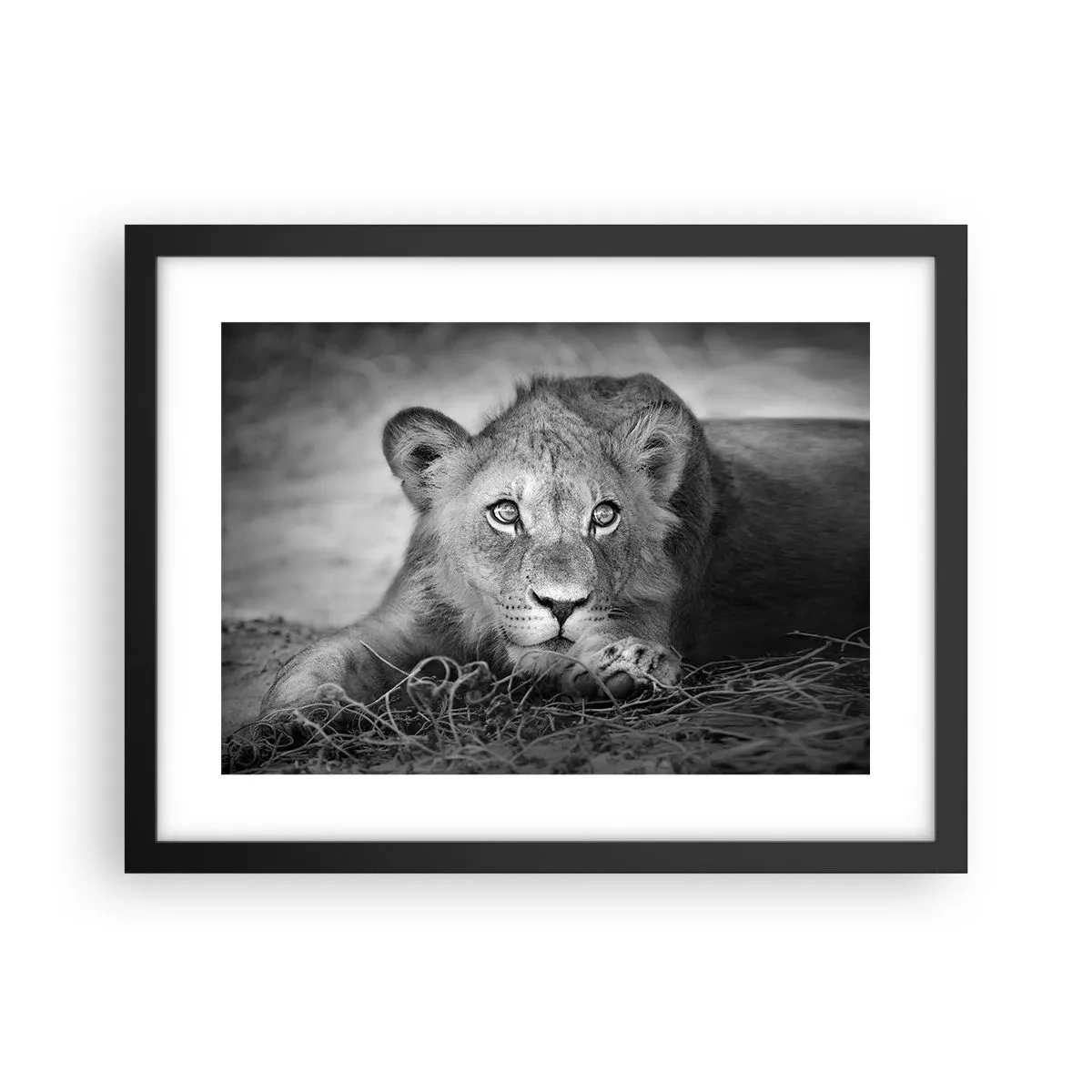 Plakat i sort ramme - Kongelig hvalp - 40x30 cm
