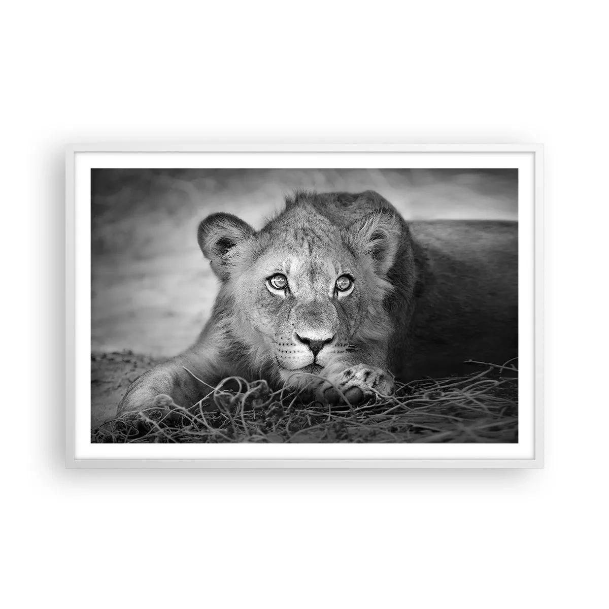 Plakat i hvid ramme - Kongelig hvalp - 91x61 cm