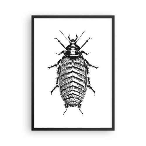 Plakat i sort ramme - Sort-hvid illustration af et insekt i detailhandelsstil - 50x70cm - Sikke et eksemplar! - Moderne vægdekoration til stue og soveværelse ARTTOR