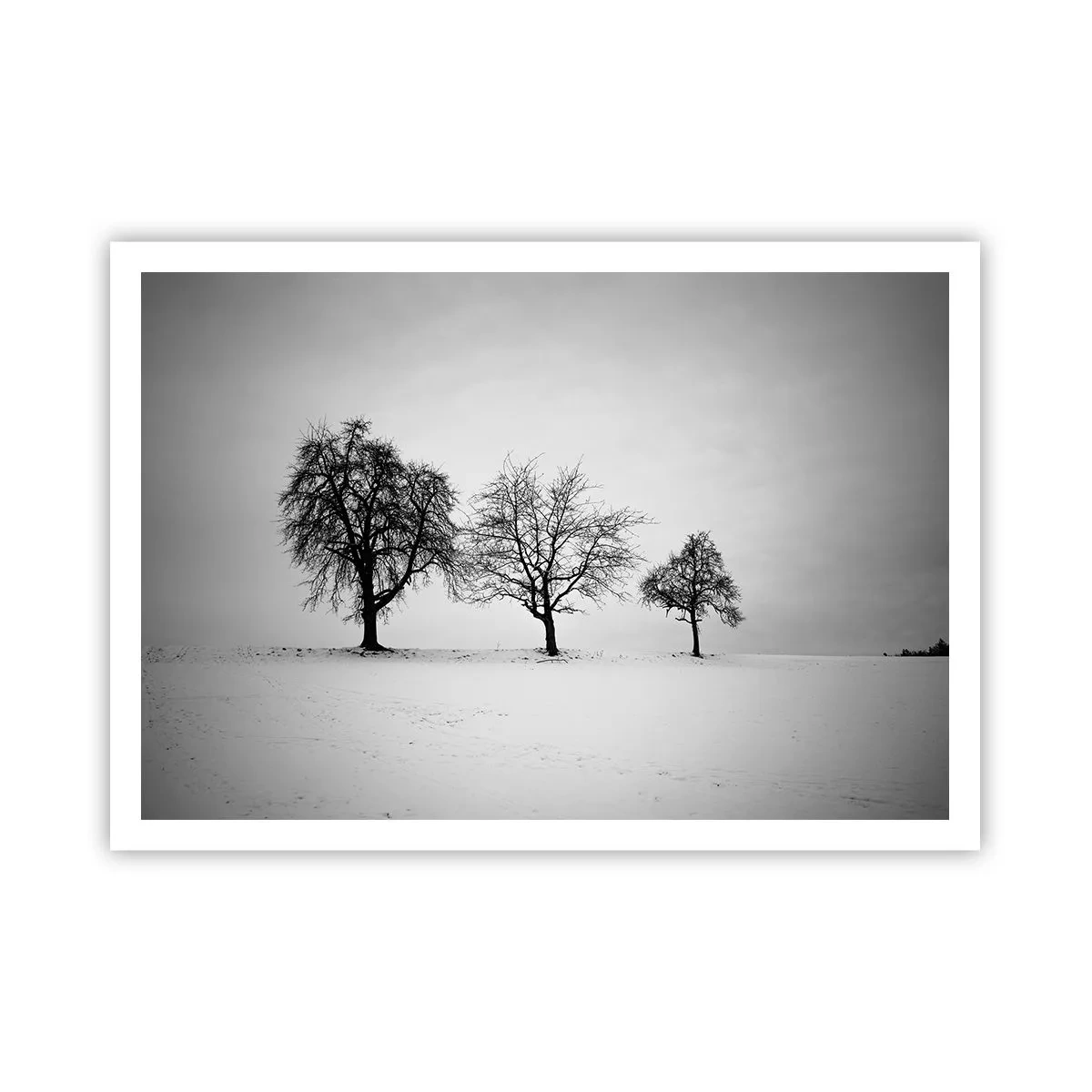 Plakat - Hvad drømmer de om? - 100x70 cm