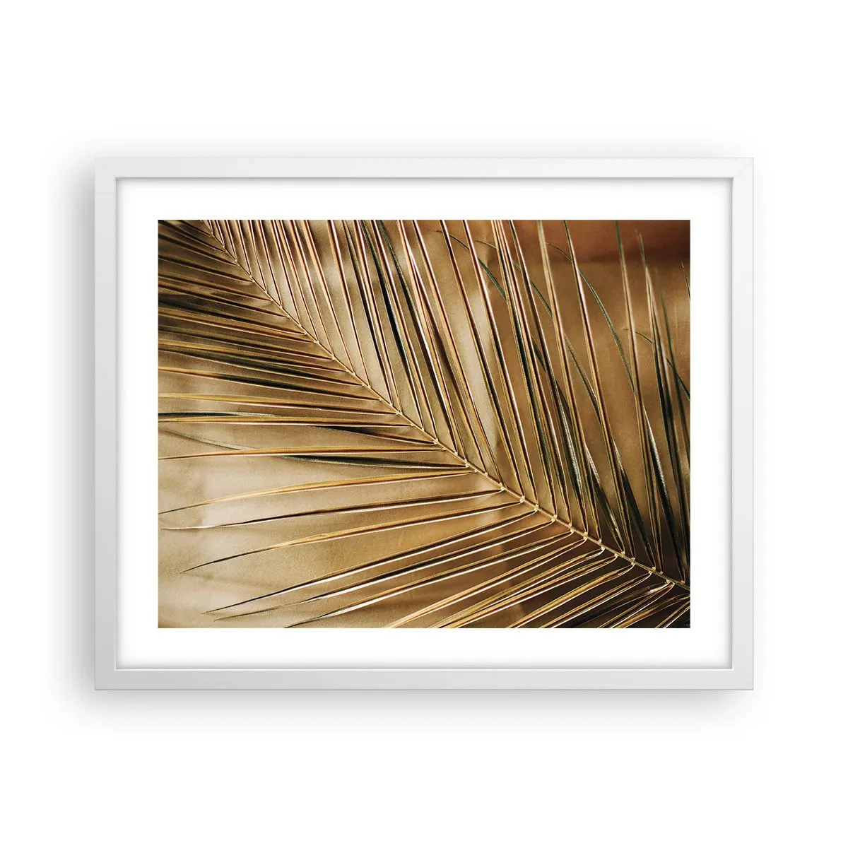 Plakat i hvid ramme - Naturlig kolonnade - 50x40 cm
