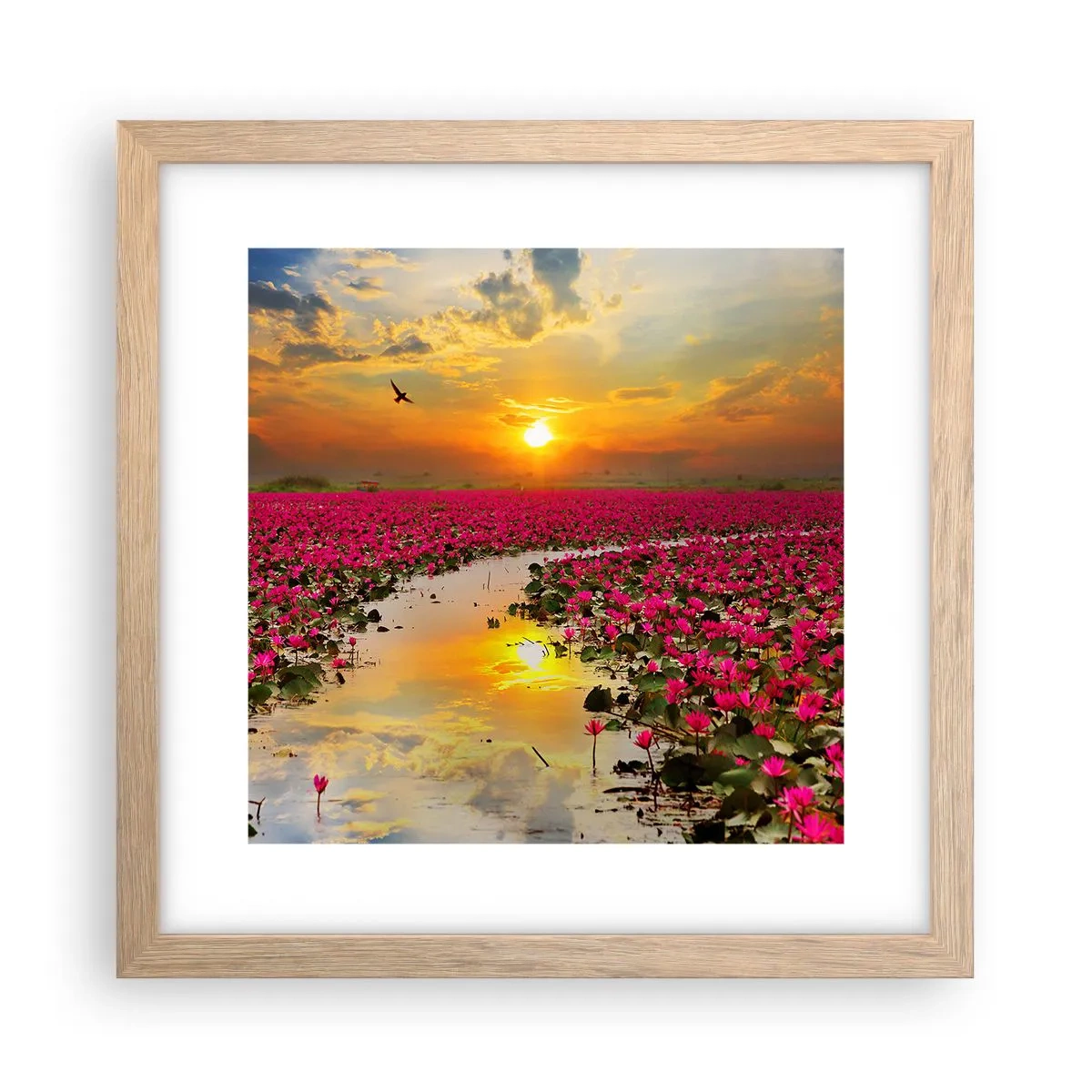 Plakat i ramme af lyst egetræ - Søens hemmelige liv - 30x30 cm