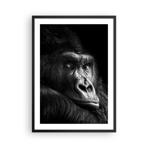 Plakat i sort ramme - Portræt af en gorilla mod en sort baggrund i levende detaljer - 50x70cm - Og hvad kigger du på? - Moderne vægdekoration til stue og soveværelse ARTTOR