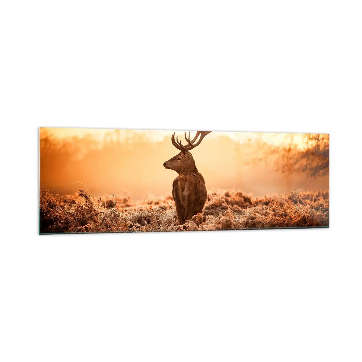 Billede på glas - Herre på godset - 160x50 cm