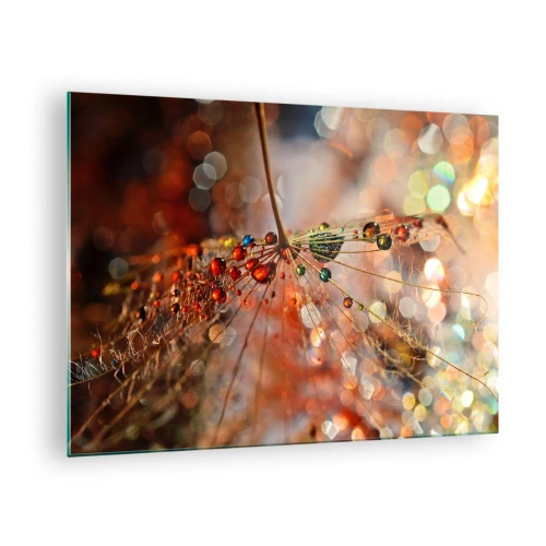 Billede på glas - Vanddråber på et delikat spindelvæv i bokeh-lys - 70x50cm - Trådet på et edderkoppespind - Moderne vægdekoration til stue og soveværelse ARTTOR