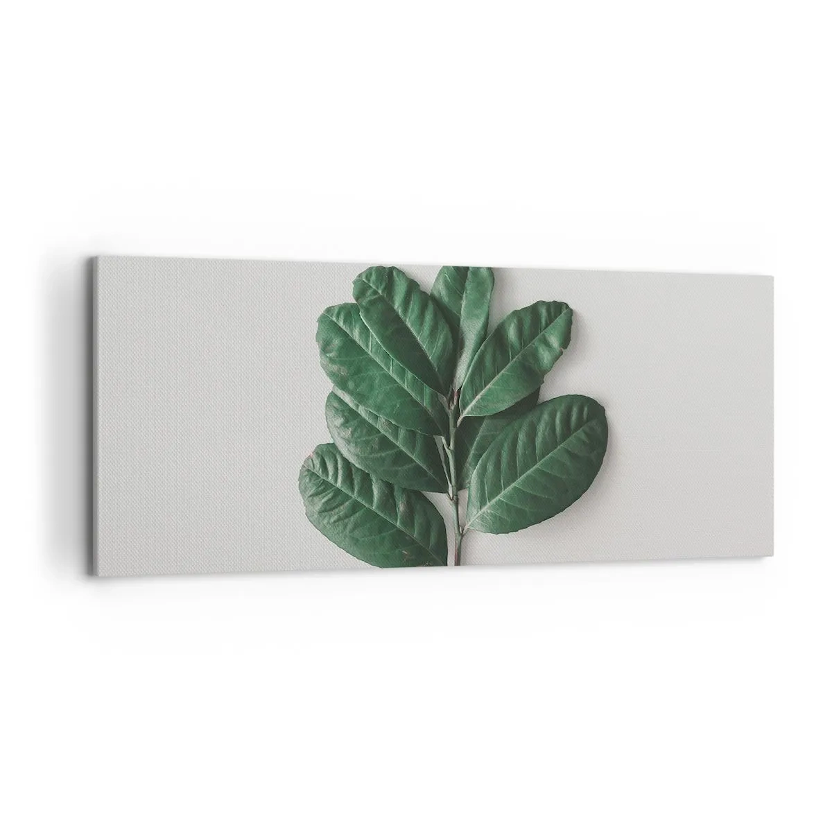 Lærredstryk - Billede på lærred - Tegning af selve naturen - 120x50 cm