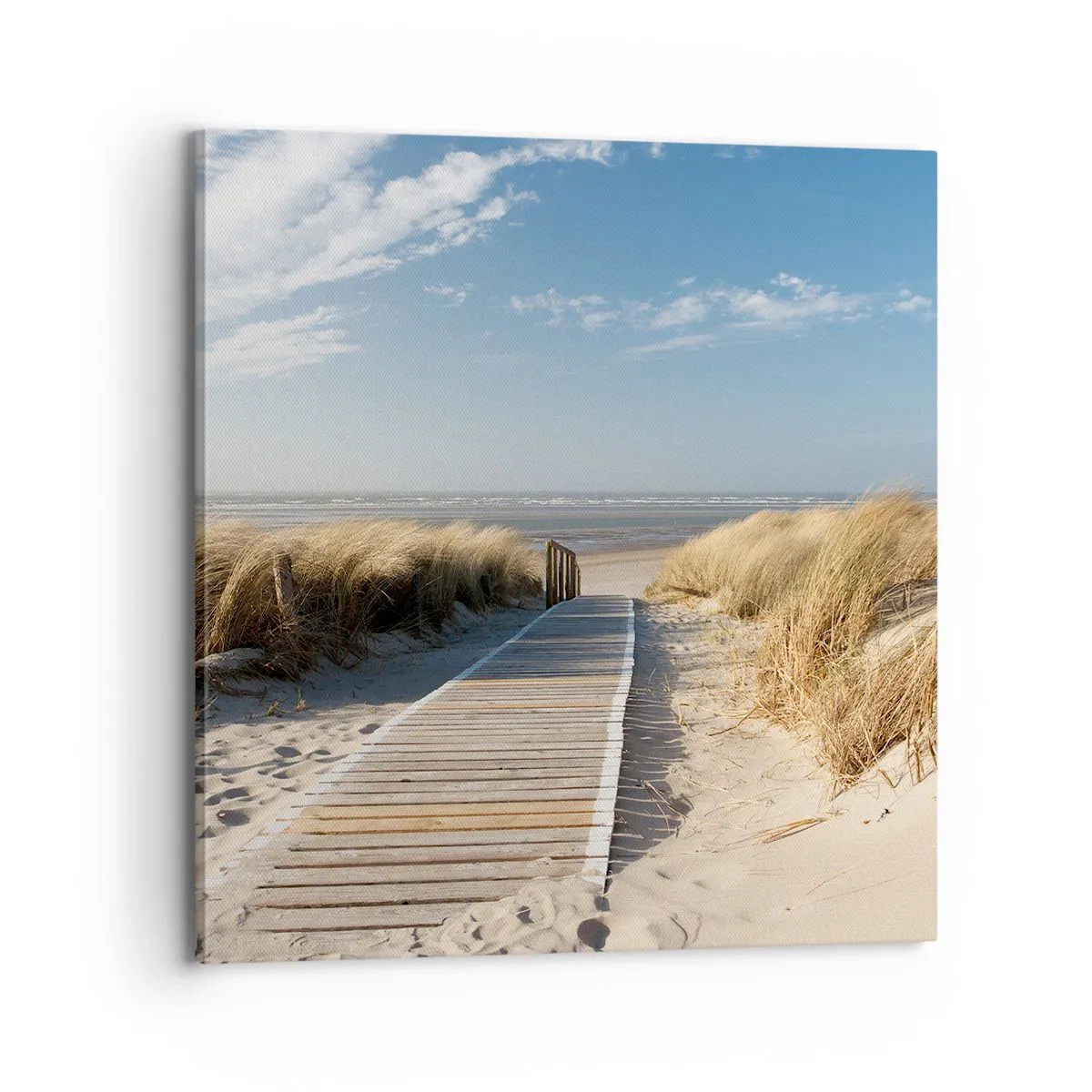 Lærredstryk - Billede på lærred - Bag klitten, i græssets summen - 70x70 cm