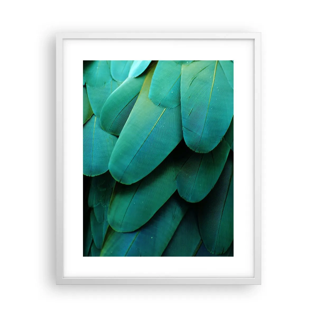 Plakat i hvid ramme - Papegøjenaturens præcision - 40x50 cm