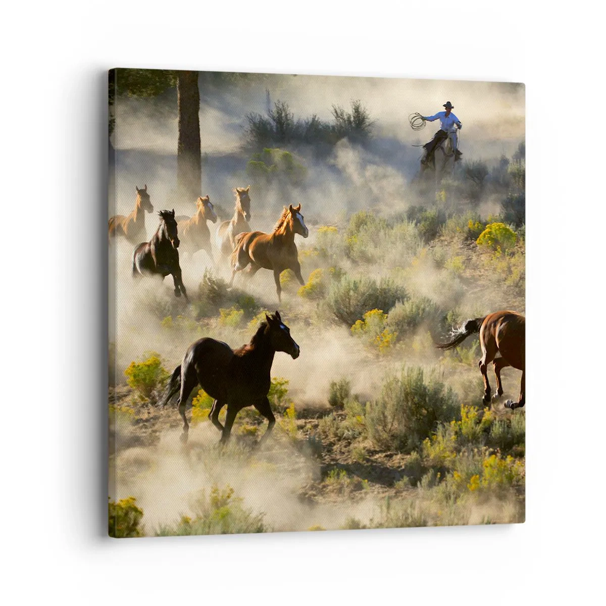 Lærredstryk - Billede på lærred - Rivalisering - frihed eller maskulin kraft? - 40x40 cm