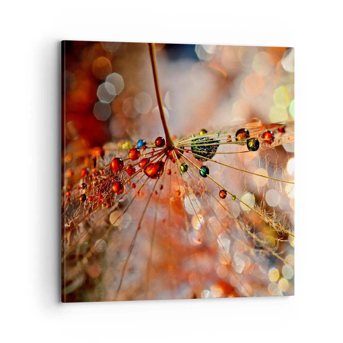 Lærredstryk - Billede på lærred - Trådet på et edderkoppespind - 70x70 cm