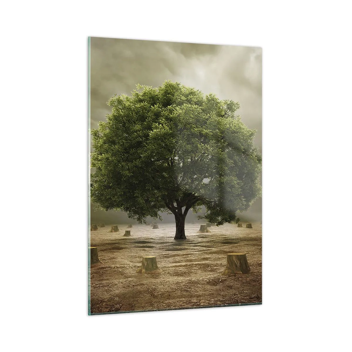 Billede på glas - Alt håb - 50x70 cm
