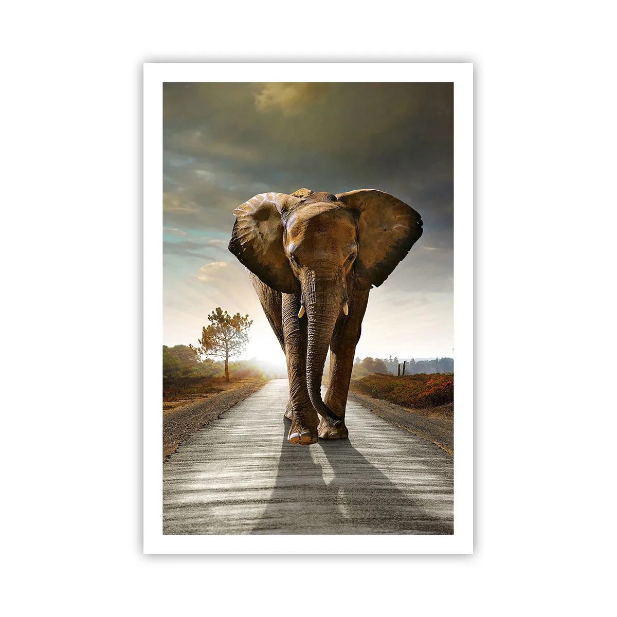 Plakat - Og slet ikke i en porcelænsbutik - 61x91 cm