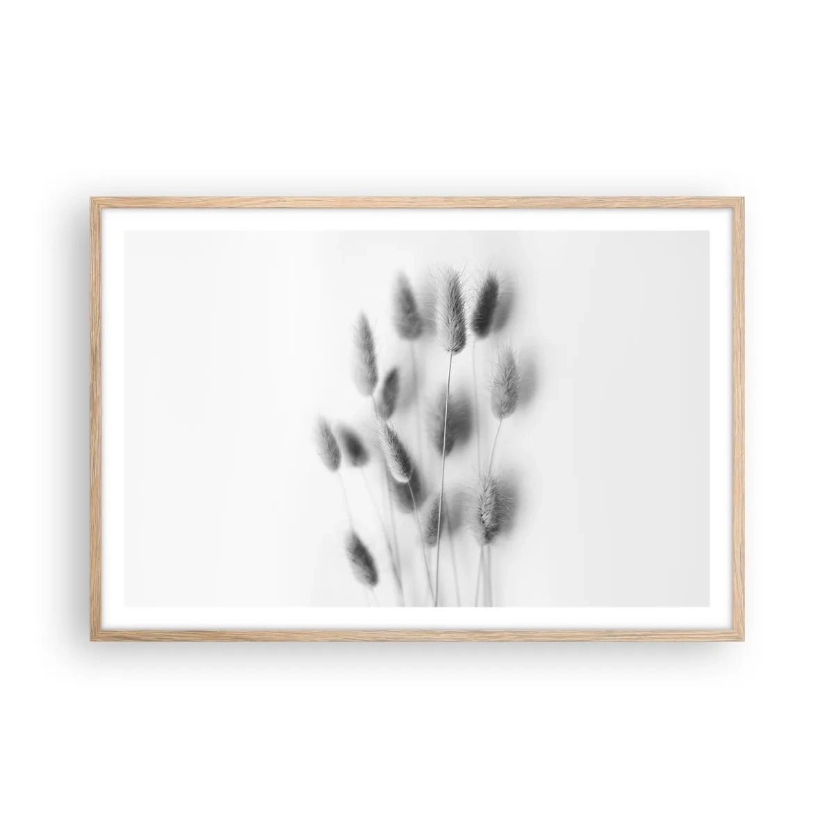 Plakat i ramme af lyst egetræ - Dens bløde græs - 91x61 cm