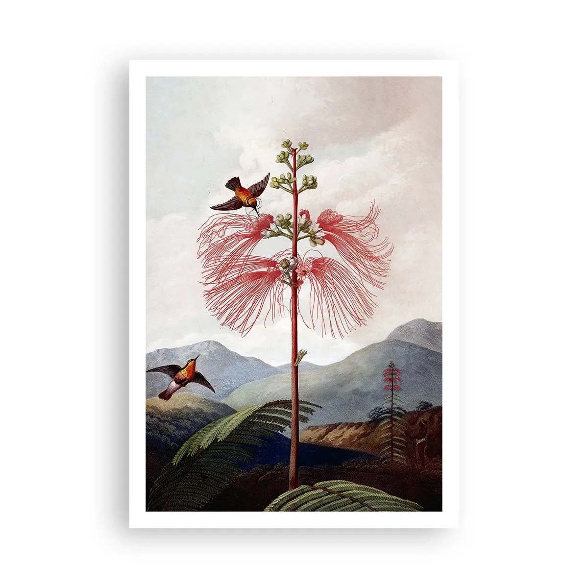 Plakat - I et tropisk paradis - 70x100 cm