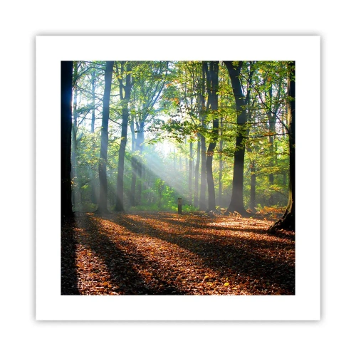 Plakat - Lys og skygger - 40x40 cm