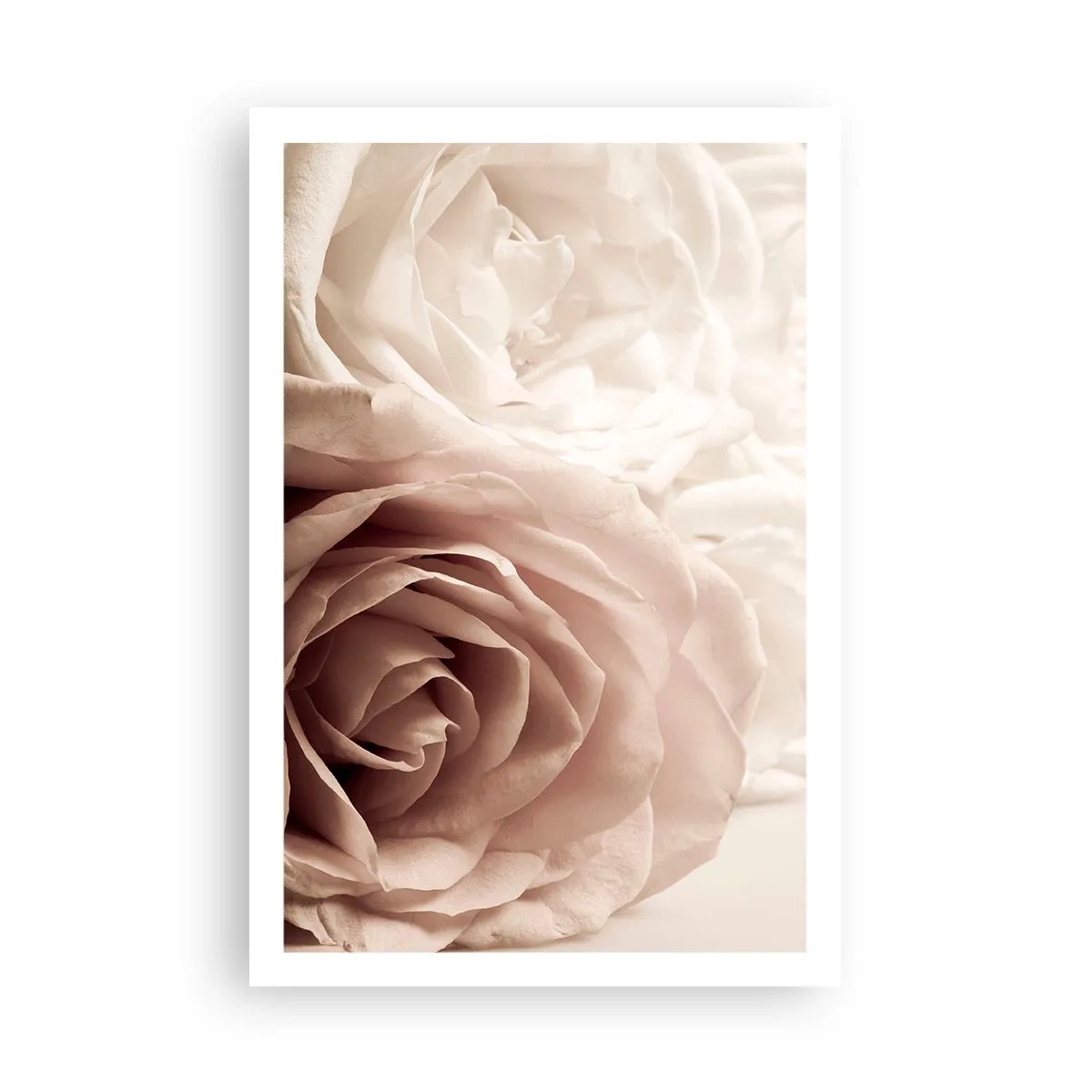 Plakat - I rosens hjerte - 61x91 cm