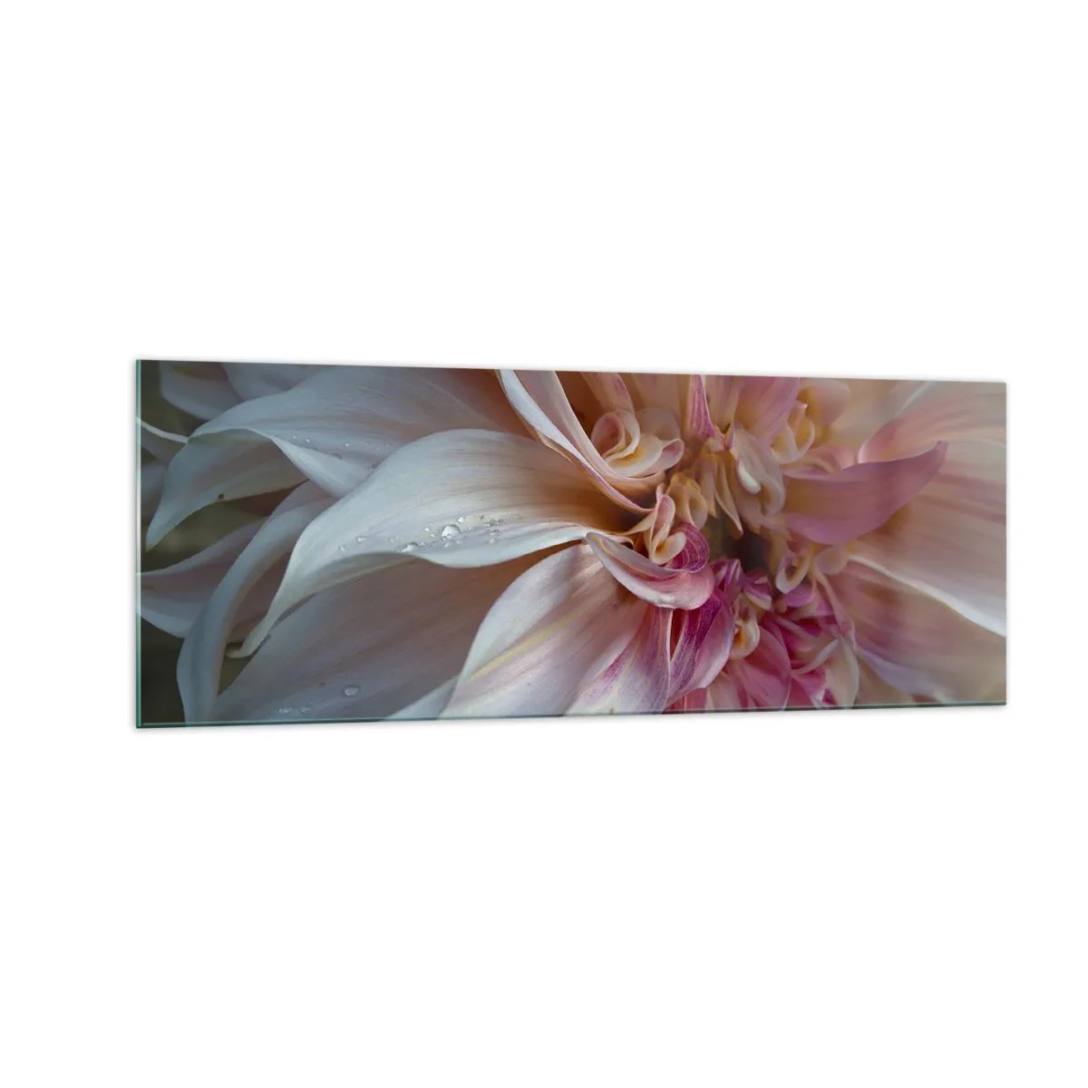 Billede på glas - Blomstrende friskhed - 140x50 cm