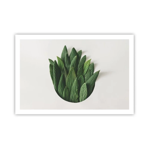 Plakat - Uhæmmet nysgerrighed - 91x61 cm