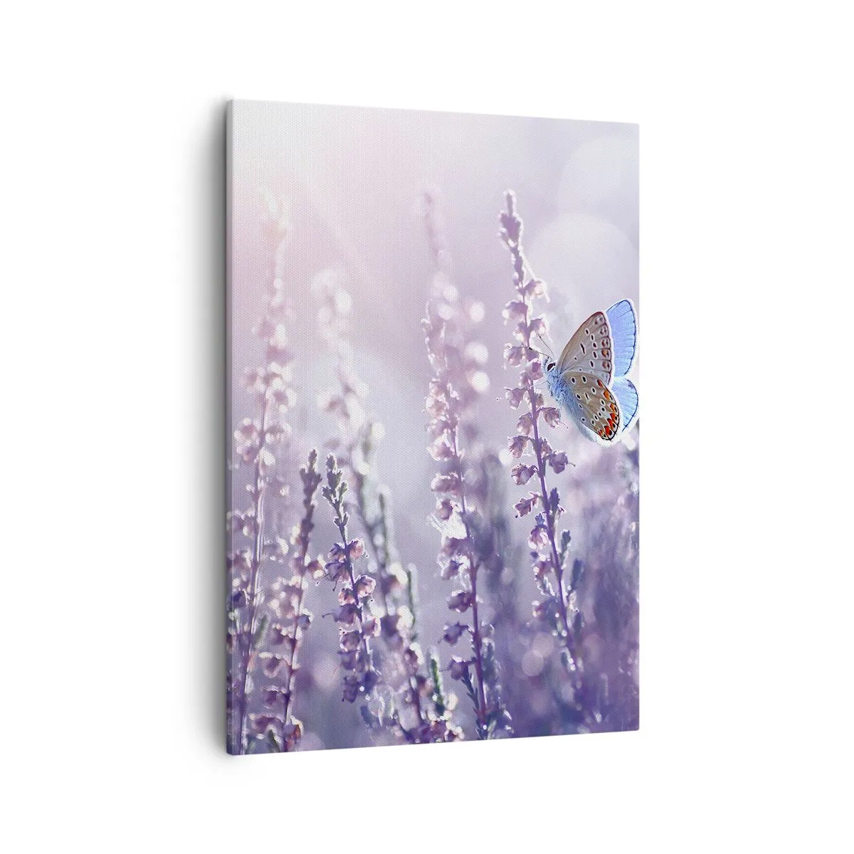 Lærredstryk - Billede på lærred - Sommerfuglekys - 50x70 cm