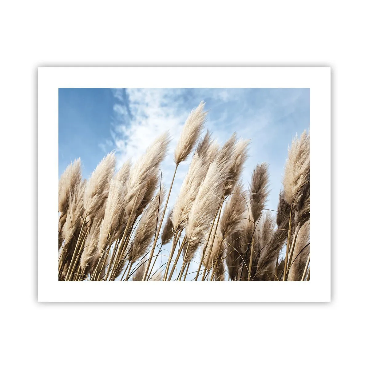 Plakat - Solrig og blæsende kærtegn - 50x40 cm