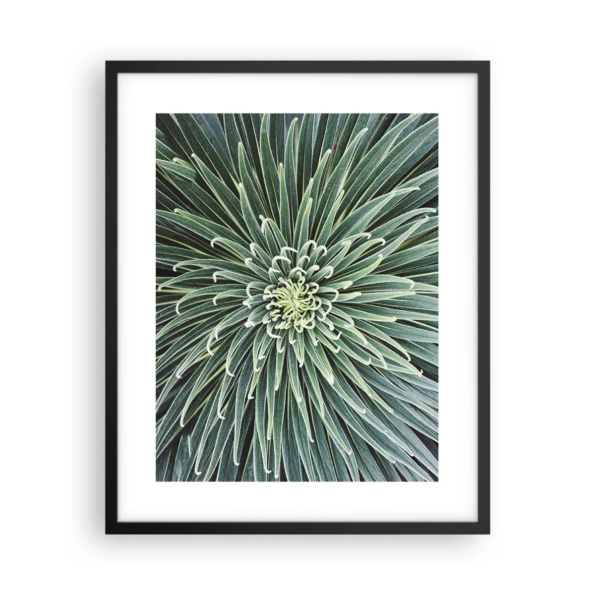 Plakat i sort ramme - En stjernes fødsel - 40x50 cm