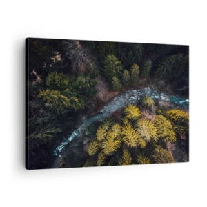 Lærredstryk - Billede på lærred - Udsigt ovenfra over en skov med en snoet flod - 70x50cm - Hurtigt, stadig hurtigere - Moderne vægdekoration til stue og soveværelse ARTTOR
