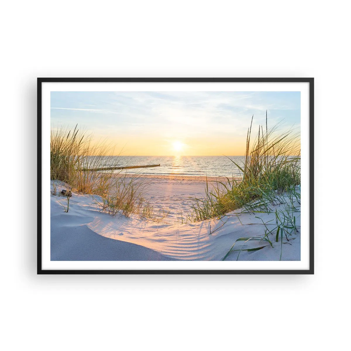 Plakat i sort ramme - Havet brummer, fuglene synger, en vild strand midt i græsset.... - 100x70 cm
