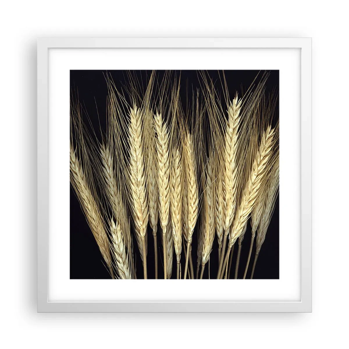 Plakat i hvid ramme - Rustik magi - 40x40 cm