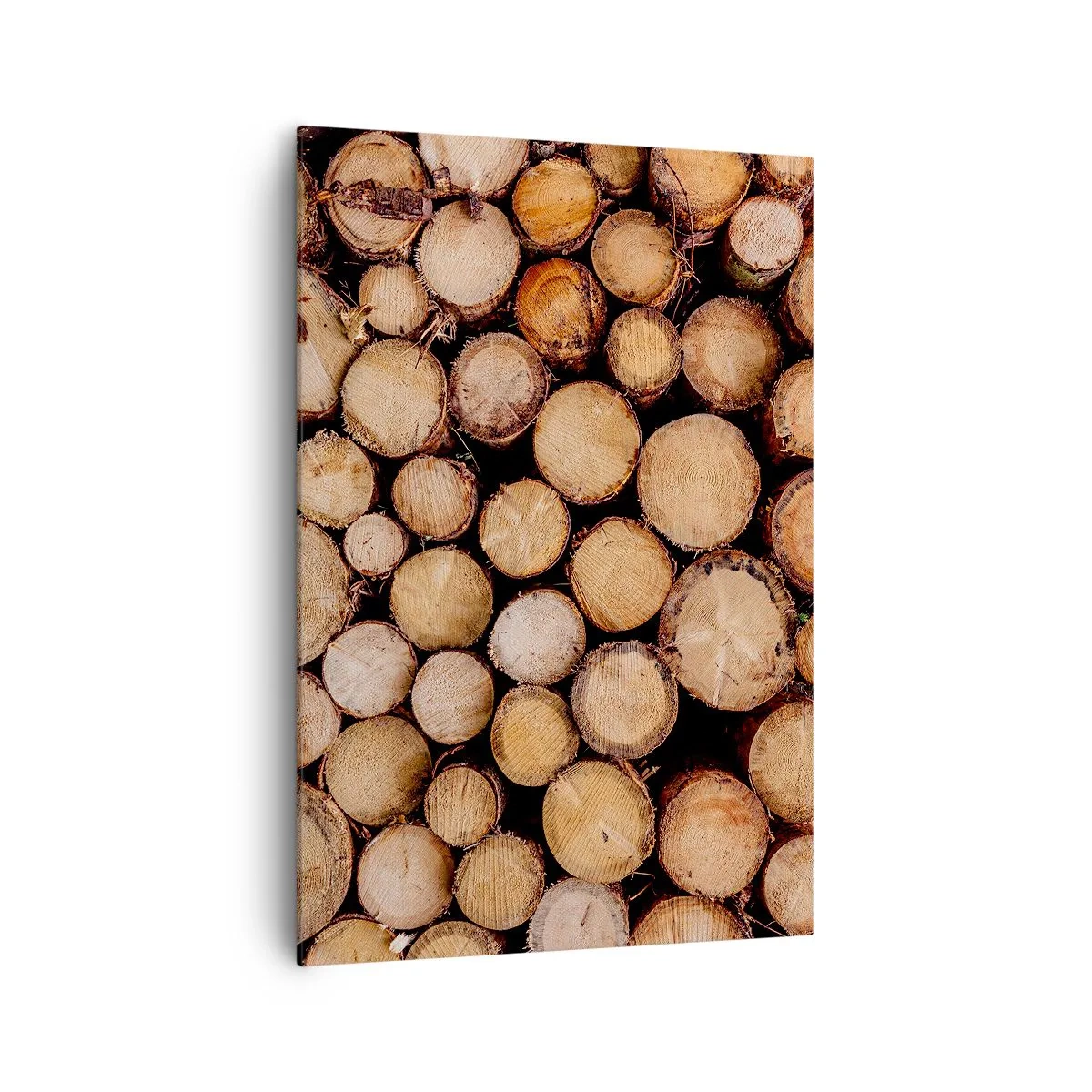 Lærredstryk - Billede på lærred - En ny begyndelse - 70x100 cm