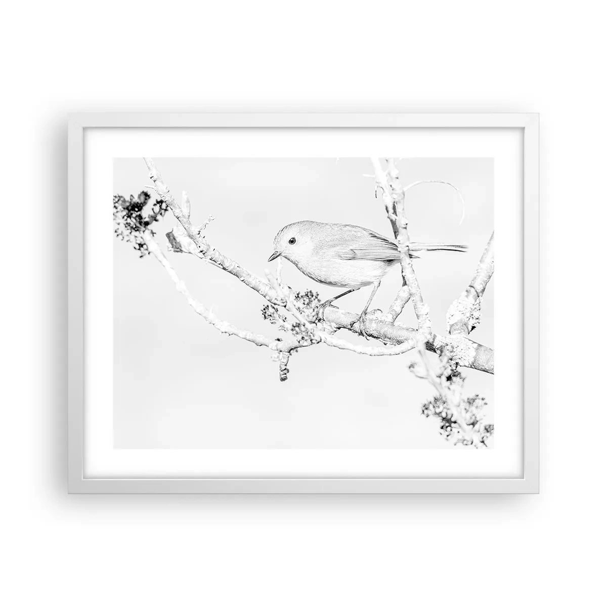 Plakat i hvid ramme - Vintermorgen - 50x40 cm