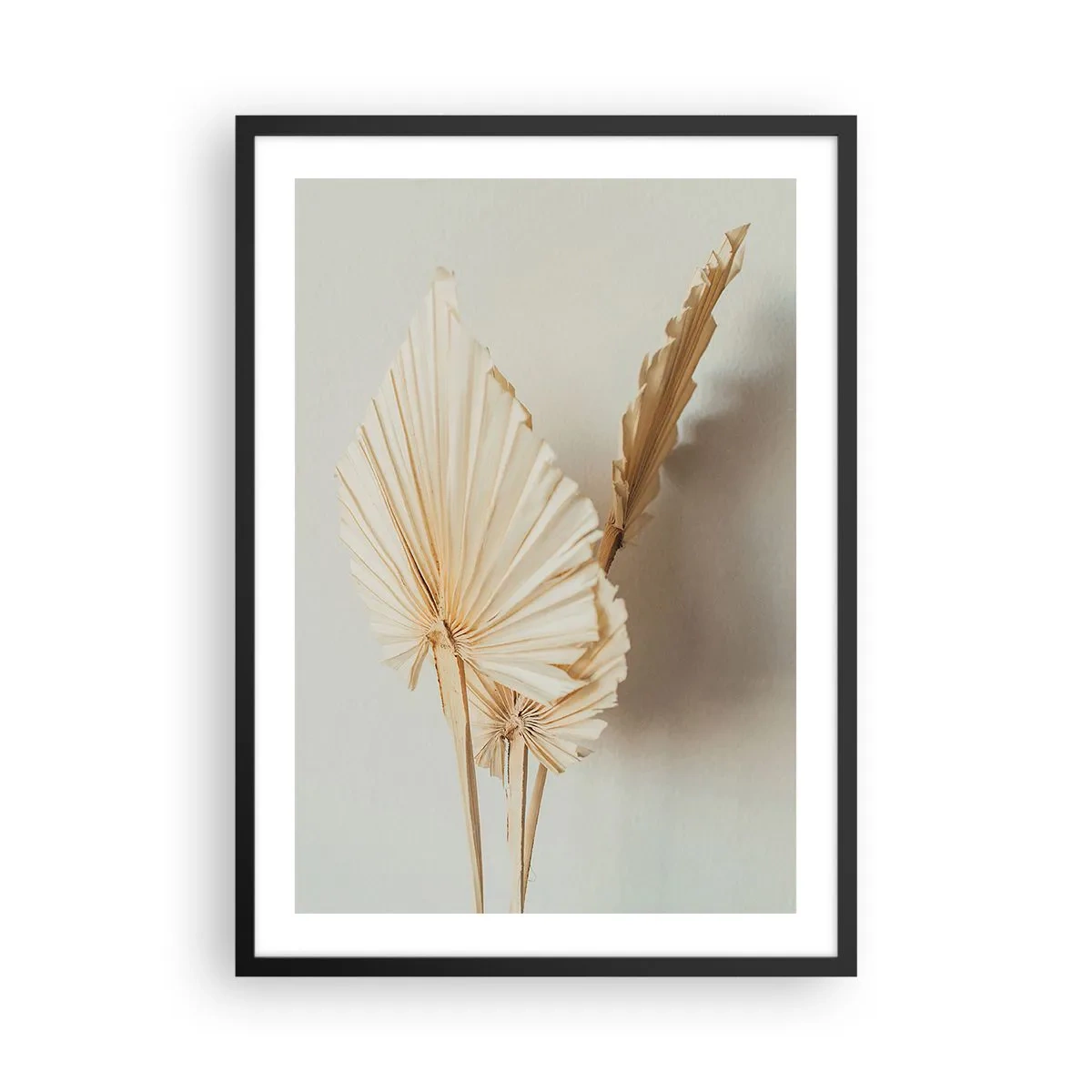 Plakat i sort ramme - Tørrede palmeblade i et minimalistisk arrangement på en lys baggrund - 50x70cm - Når du har brug for trøst - Moderne vægdekoration til stue og soveværelse ARTTOR