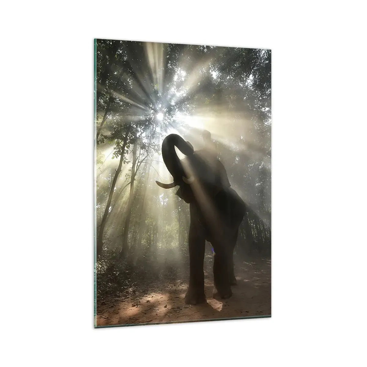 Billede på glas - Under en lykkelig stjerne - 80x120 cm