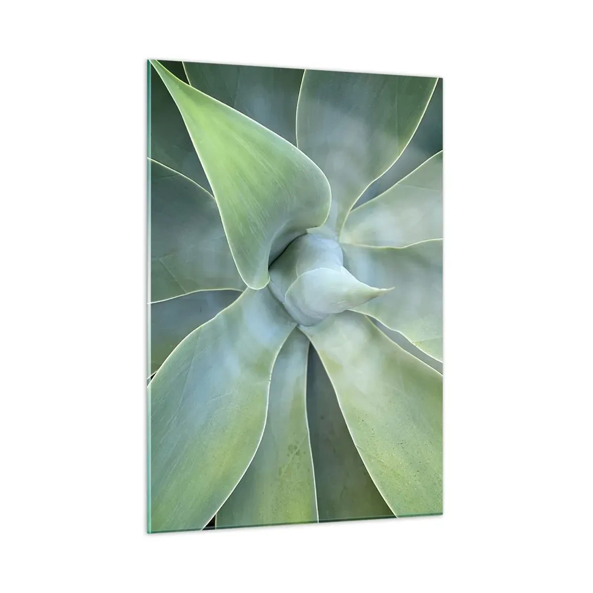 Billede på glas - Den grønne fødsel - 50x70 cm